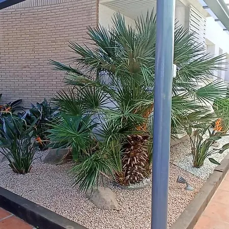 Playa Apartment *